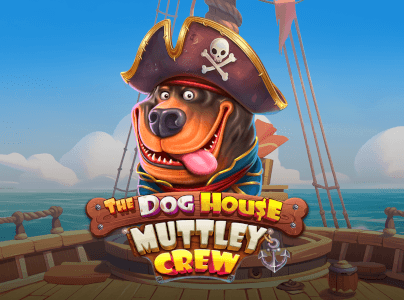 Cats jogo