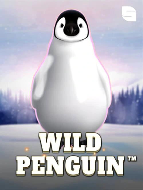 Mega nz download